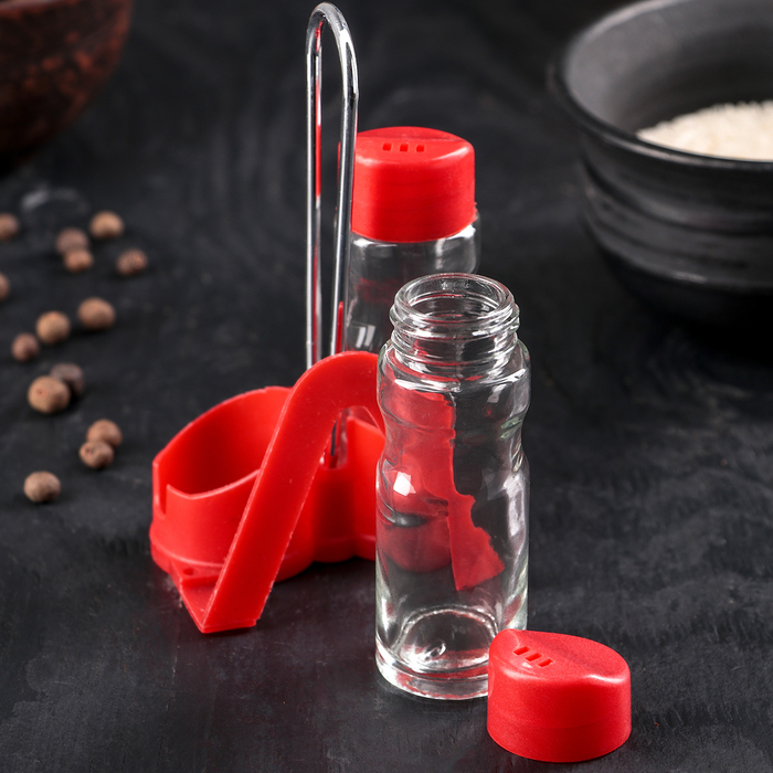 Набор для специй 40 мл с салфетницей "Цветной", 2 шт на подставке, цвет МИКС