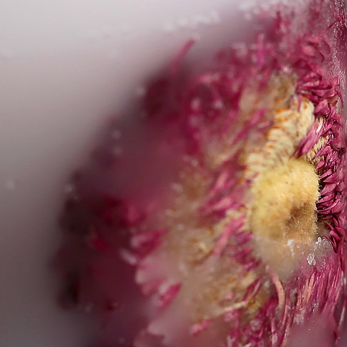 Свеча цилиндр, 7х7,5см, "Цветочная"