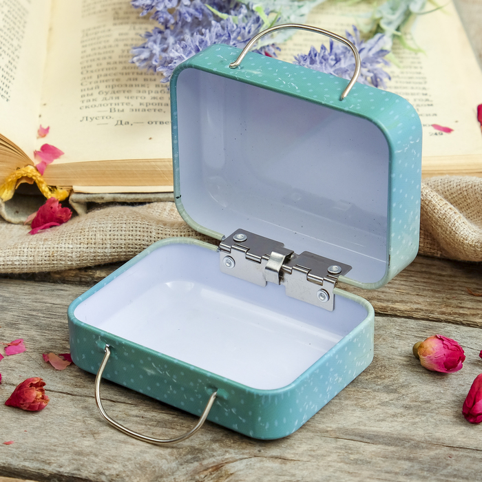 Шкатулка металл чемодан "Чемодан для путешествий" 5,5х7,5х3,5 см