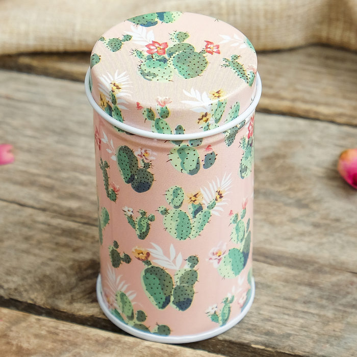 Шкатулка металл "Кактусы" МИКС 7,5х4х4 см