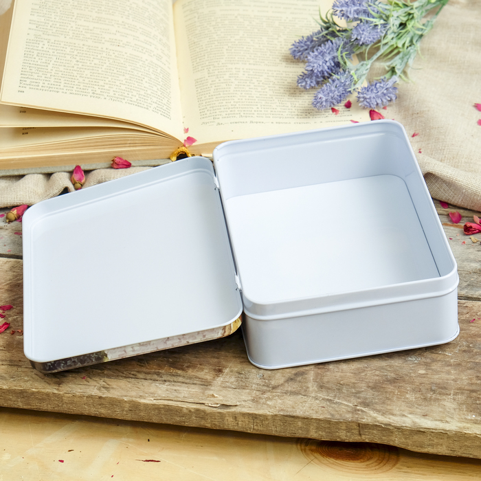 Шкатулка металл "Аллея" 5,5х19,5х13,8 см