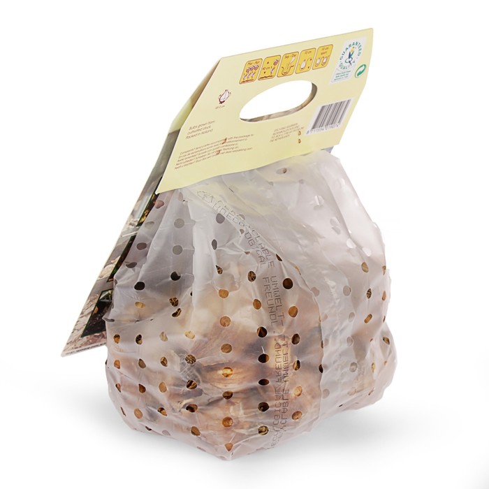 Промопак нарцисс трубчатый желтый р-р 10/12, 25 шт