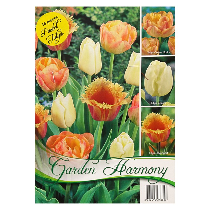 Коллекция тюльпан, 3 вида, пастель, р-р 11/12, 18 шт