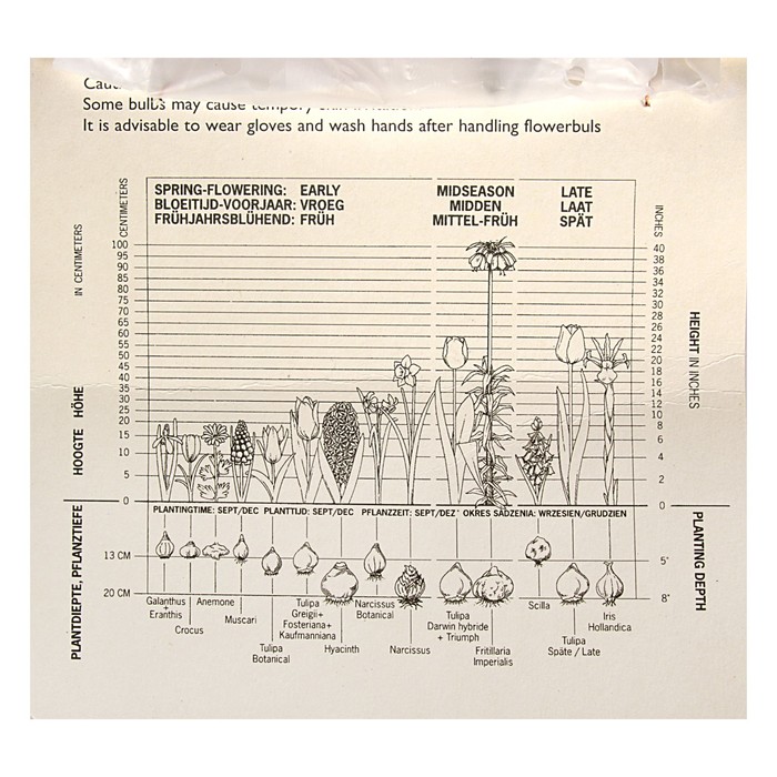 Коллекция тюльпан, 3 вида, пастель, р-р 11/12, 18 шт