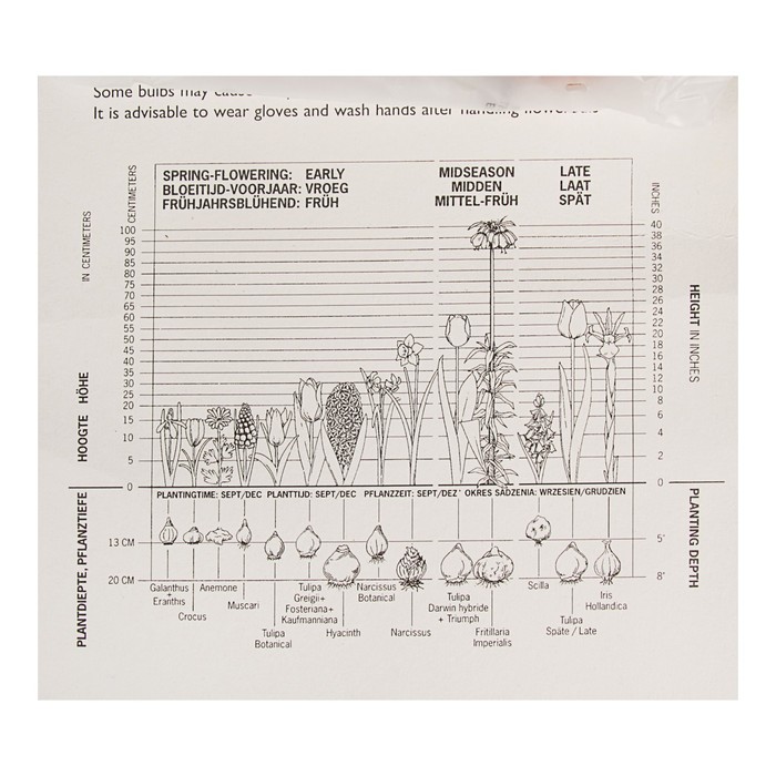 Коллекция розовых тюльпанов, 3 вида, р-р 11/12, 18 шт