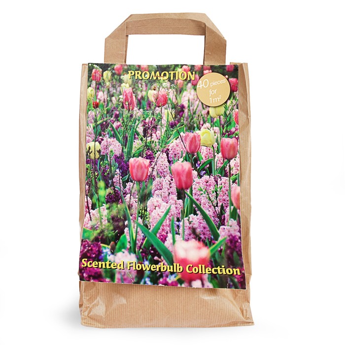 Коллекция цветов "Весенний бордюр", 5 видов, 40 шт