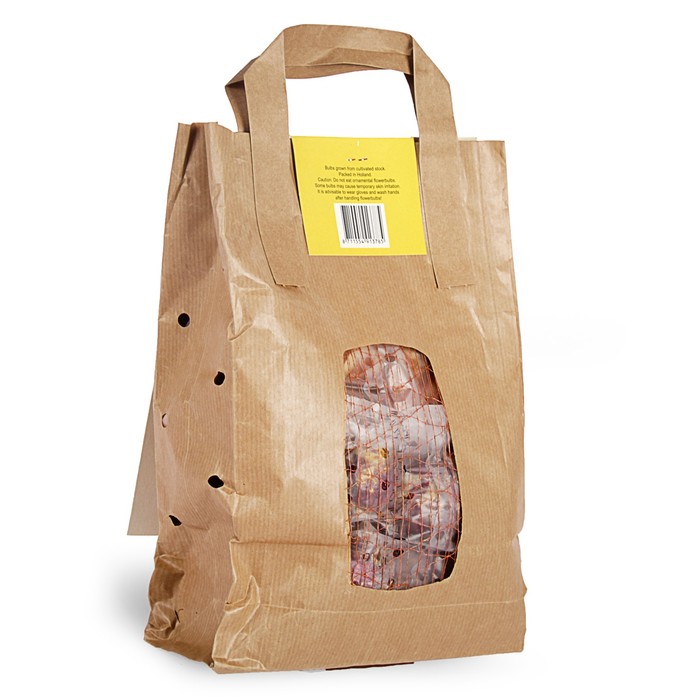 Коллекция цветов "Весенний бордюр", 5 видов, 40 шт