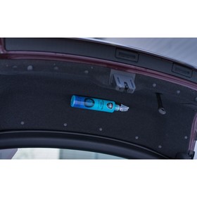 

Чернитель шин WAXis Professional, триггер, 350 мл