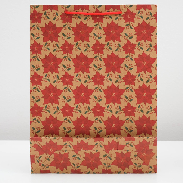 Пакет Крафт 19 х 24 х 8 см