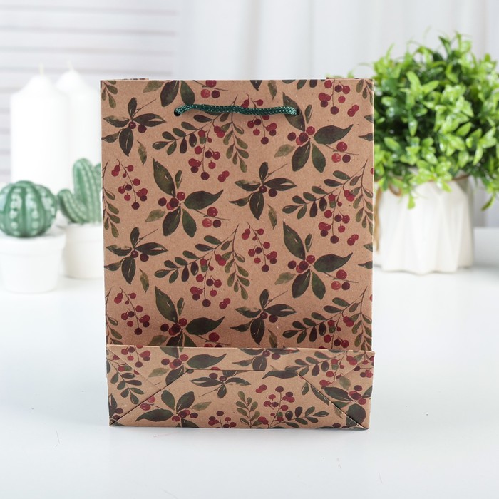 Пакет Крафт 11 х 14 х 5 см