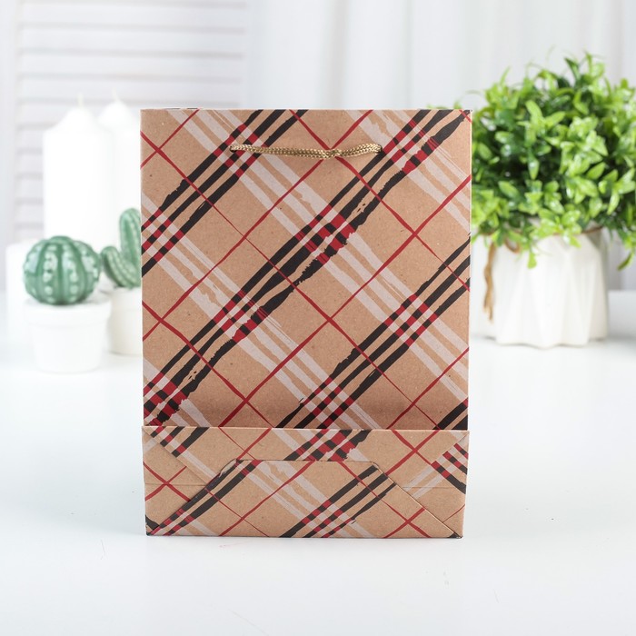 Пакет Крафт 19 х 24 х 8 см