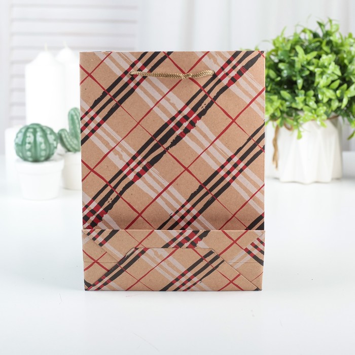 Пакет Крафт 15 х 20 х 6 см