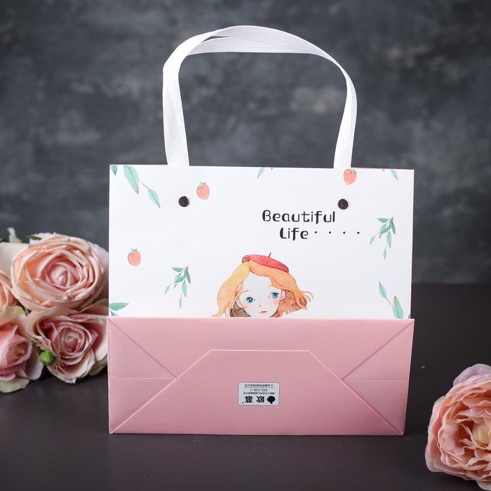 Пакет ламинированный 22 х 10 х 20 см