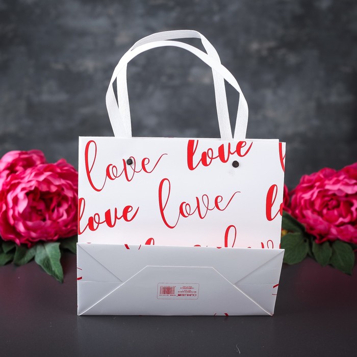 Пакет ламинированный 22 х 10 х 20 см