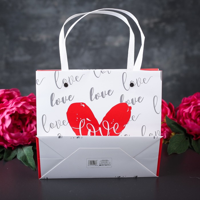 Пакет ламинированный 22 х 10 х 20 см