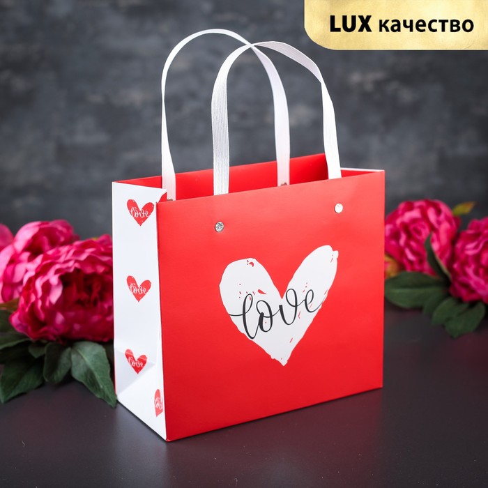 Пакет ламинированный 22 х 10 х 20 см