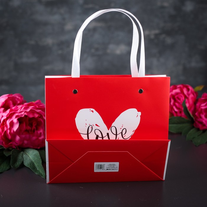 Пакет ламинированный 22 х 10 х 20 см