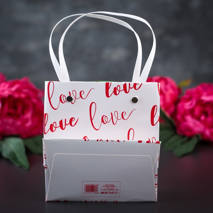 Пакет ламинированный 14,5 х 4 х 13 см