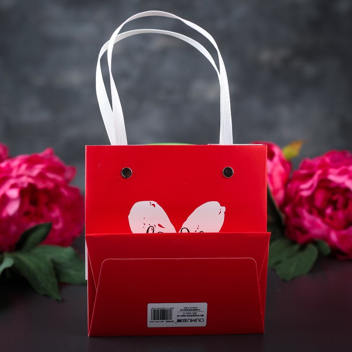 Пакет ламинированный 14,5 х 4 х 13 см