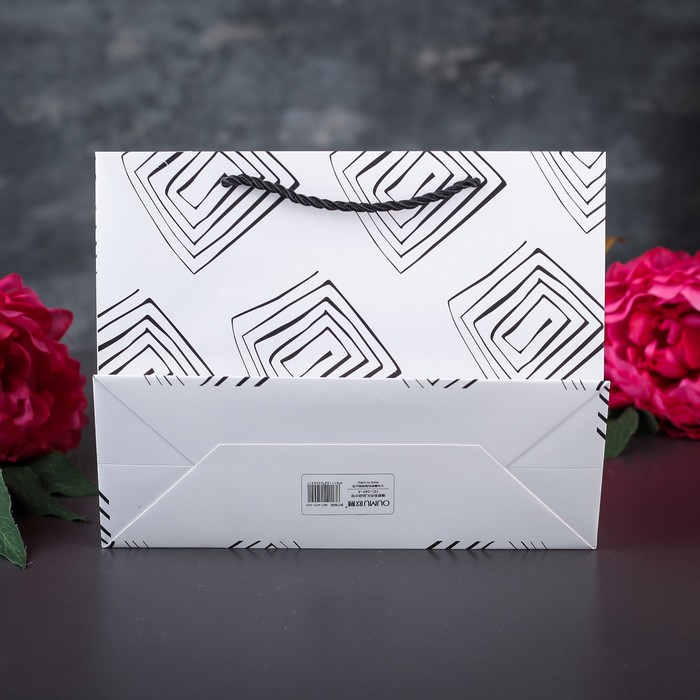 Пакет ламинированный 24,5 х 9,5 х 19,5 см