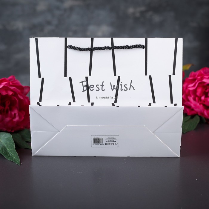 Пакет ламинированный 24,5 х 9,5 х 19,5 см