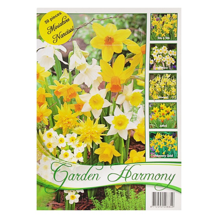 Коллекция нарцисс, 5 видов, р-р 8/10, 50 шт