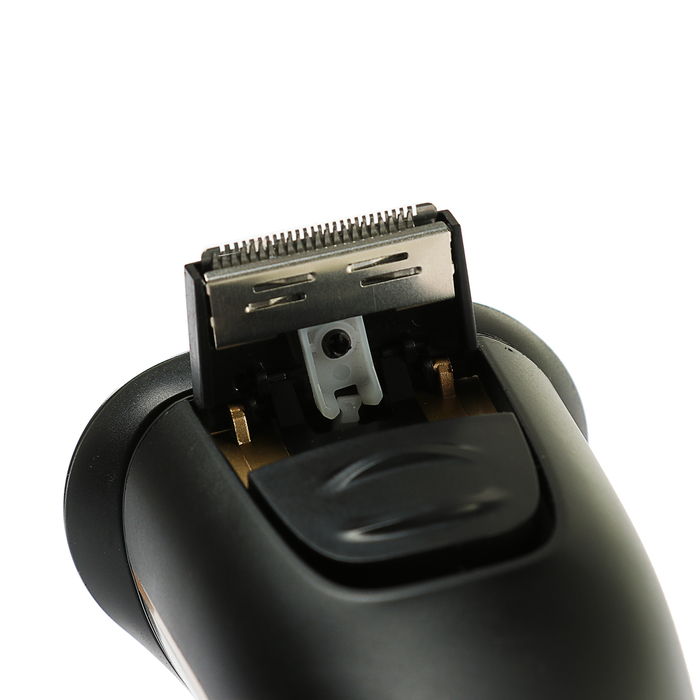 Электробритва Atlanta ATH-6604, роторная, 3 головки, триммер, серая