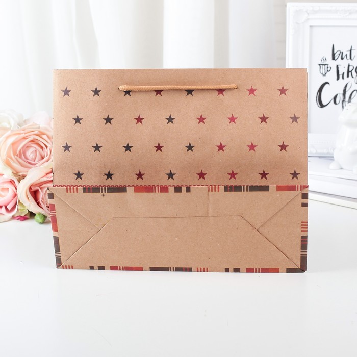 Пакет крафт 24,5 х 9 х 19 см