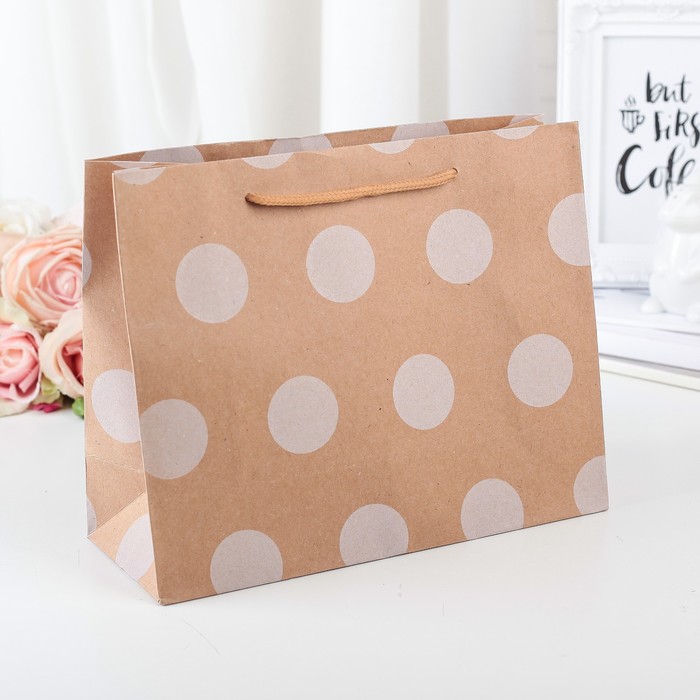 Пакет крафт 24,5 х 9 х 19 см