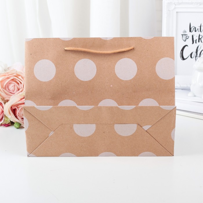 Пакет крафт 24,5 х 9 х 19 см