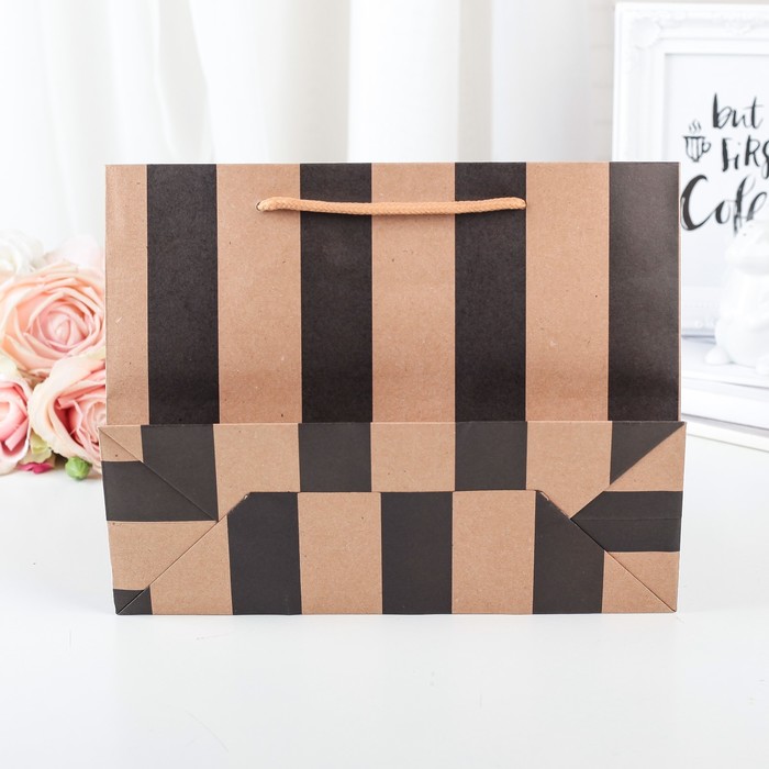 Пакет крафт 24,5 х 9 х 19 см