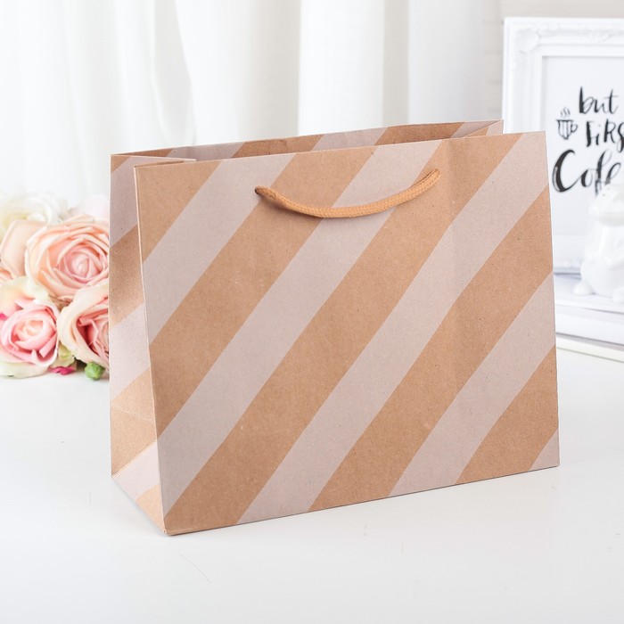 Пакет крафт 24,5 х 9 х 19 см