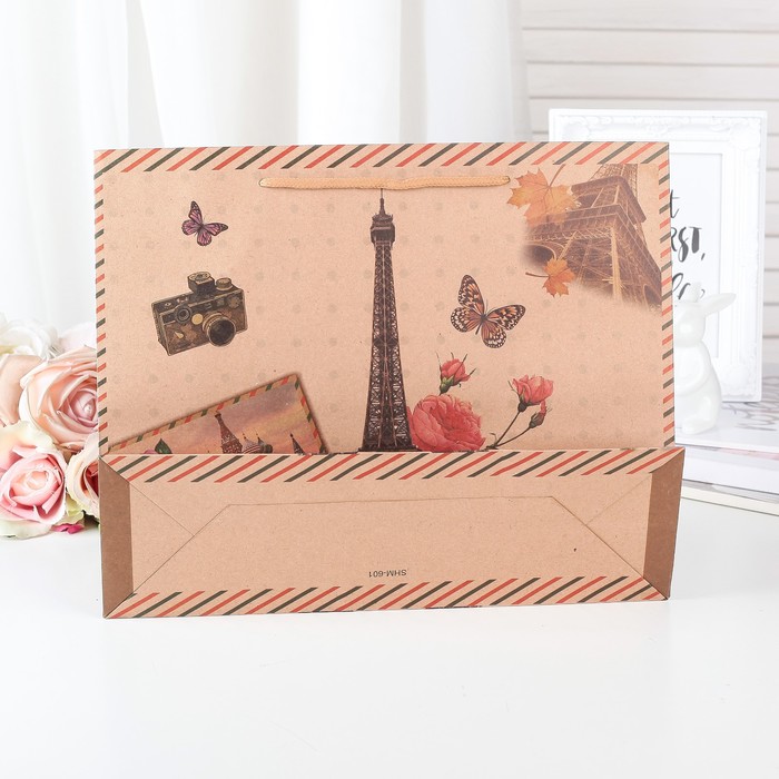 Пакет крафт 24,5 х 9 х 19 см