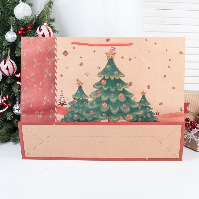 Пакет крафт 49 х13 х 38 см