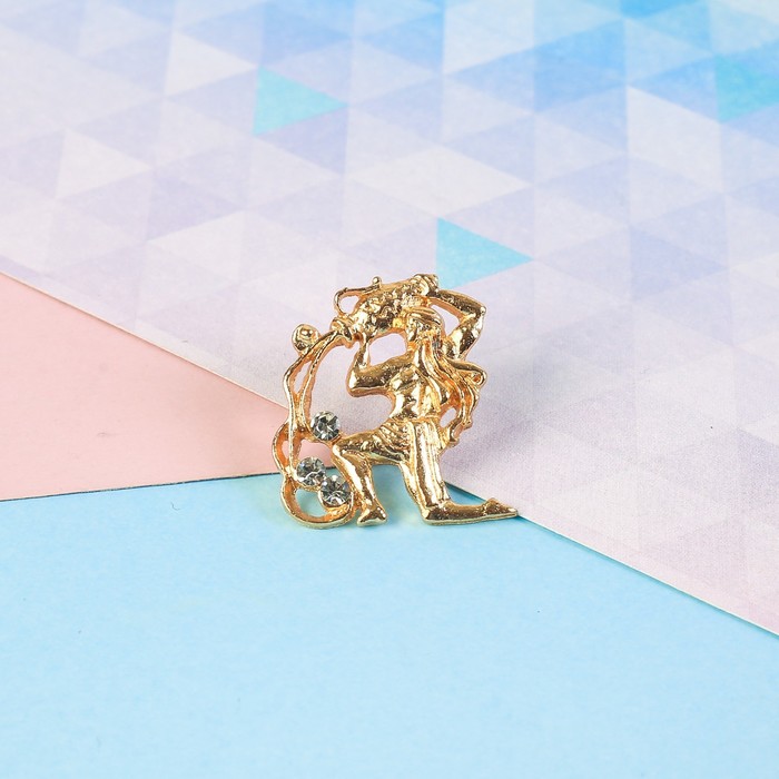 Брошь металлическая гороскоп "Водолей"