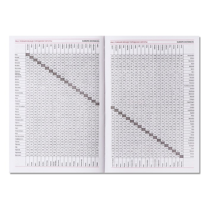 Ежедневник недатированный А5, 320 страниц, Вивелла, красный
