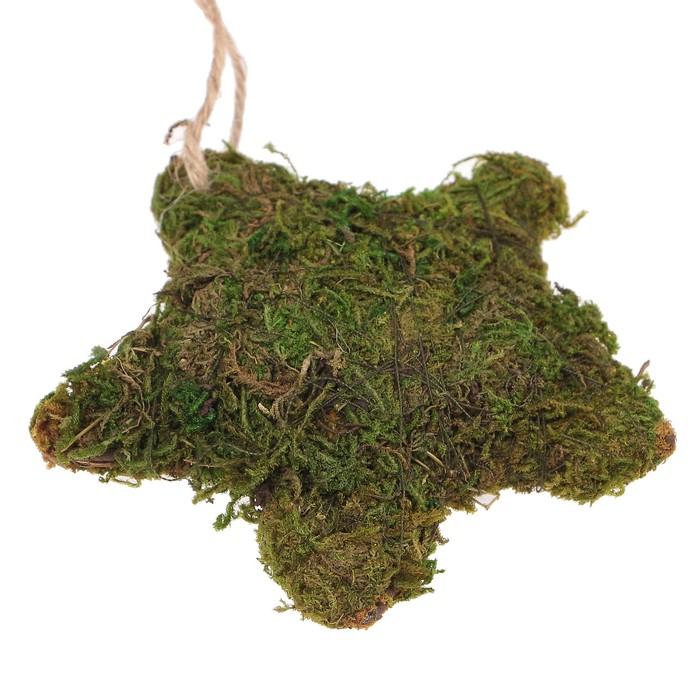 Декоративное украшение из мха Blumentag "Звезда" 10х10х2,5 см