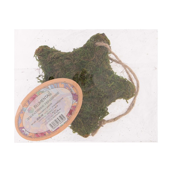 Декоративное украшение из мха Blumentag "Звезда" 10х10х2,5 см