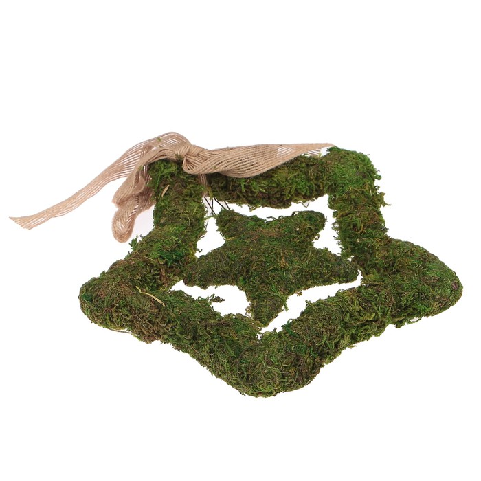 Декоративное украшение из мха Blumentag "Звезда в звезде" 20х20х2 см