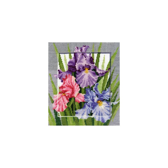 Набор для вышивания "СимволыБогатство"