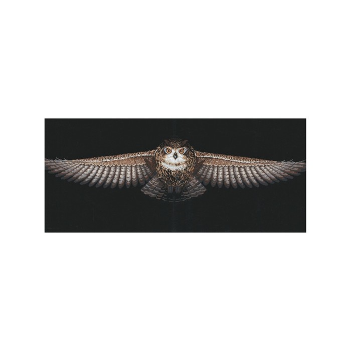 Набор для вышивания "Сова"