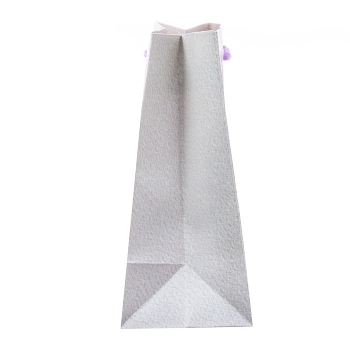 Пакет ламинированный горизонтальный «Чудес в Новом Году!», 18 × 23 × 8 см