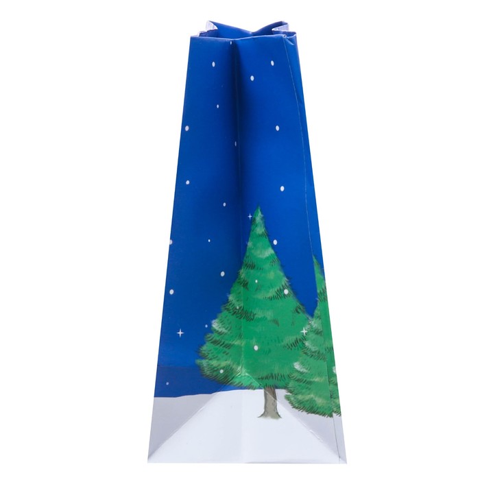 Пакет ламинированный горизонтальный «Приятных сюрпризов в Новом Году!», 12 × 15 × 5,5 см