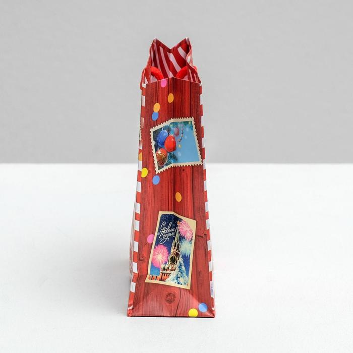 Пакет ламинированный вертикальный «Новогодняя почта», 12 × 15 × 5,5 см