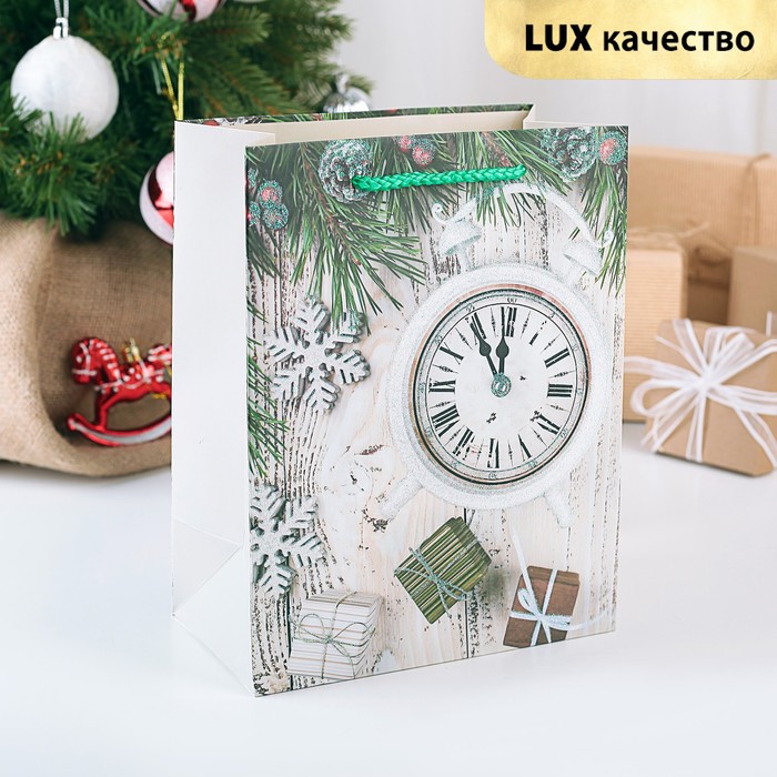 Пакет подарочный люкс, 18 х 23 х 10 см