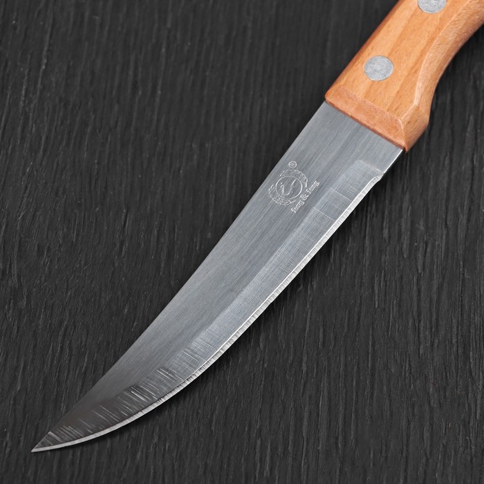 Нож "Элемент" лезвие 10 см