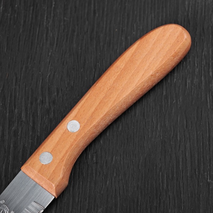 Нож "Элемент" лезвие 10 см