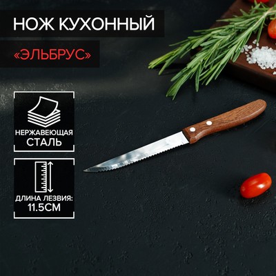 Нож кухонный «Эльбрус», зубчатое лезвие 11,5 см