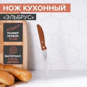 Нож кухонный «Эльбрус», лезвие 12 см Ош