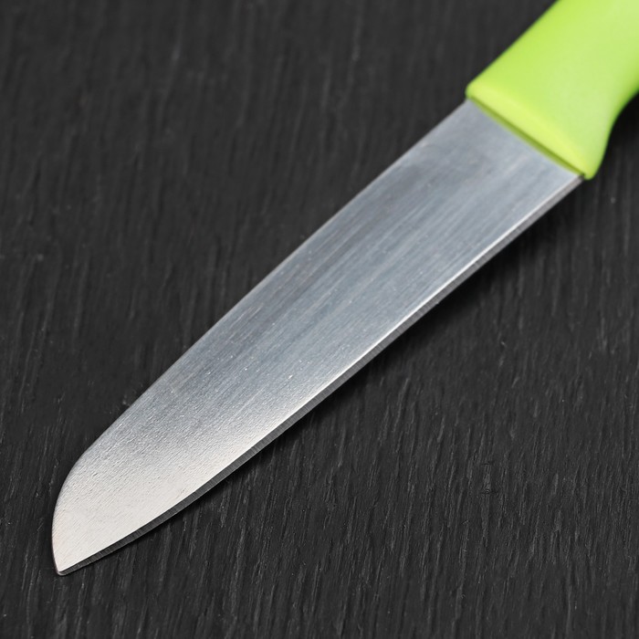 Нож "Пикник" лезвие 9,5 см